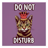 Funny stört nicht poster (Vorderseite)