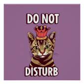 Funny stört nicht poster (Vorderseite)