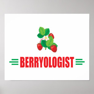 Funny Strawberries Poster
