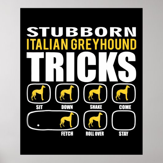 Funny Stubborn Italian Greyhound Tricks Poster (Vorne)