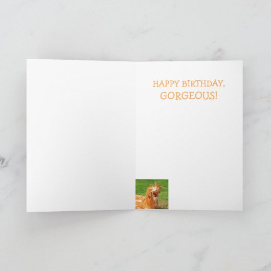 Funny Stylish Chicken Geburtstag Karte (Innenseite)