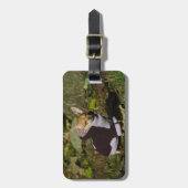 Funny Stylish Dressed Chihuahua Puppy Gepäckanhänger (Vorderseite vertikal)