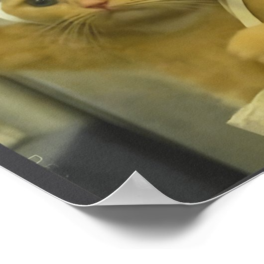 Funny Subway Cat Meme Stud Brainrot Cats Humor Kit Poster (Ecke)