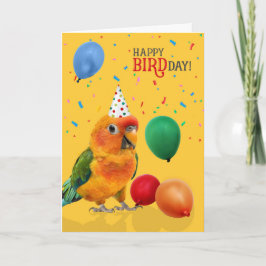 Funny Sun Conure Parrot Birthday Karte
