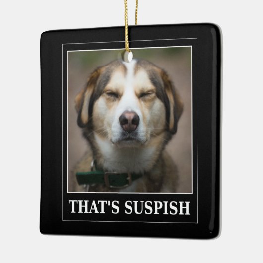Funny Suspish Dog Meme Keramikornament (Links)