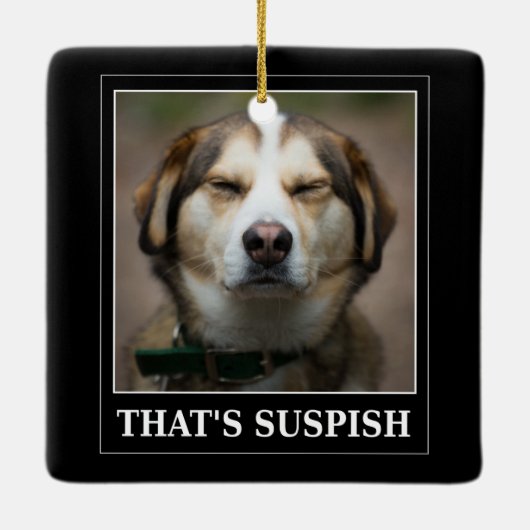 Funny Suspish Dog Meme Keramikornament (Rückseite)