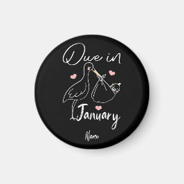 Funny Swan soll im Januar ein Niedliches neues Bab Magnet