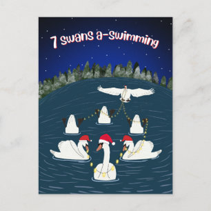 Funny Swans Schwimmen 12 Tage Weihnachten