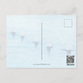 Funny Swans Was oben ist Jeder Anlass Leere Postkarte (Rückseite)