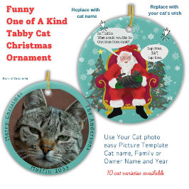 Funny Tabby Cat Besuchen Santa mit Unglaublich wit Keramik Ornament