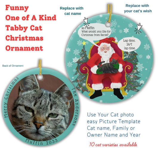 Funny Tabby Cat Besuchen Santa mit Unglaublich wit Keramik Ornament