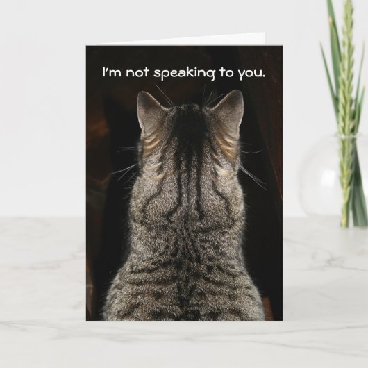Funny Tabby Cat Birthday Card Karte (Vorderseite)