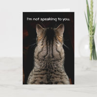 Funny Tabby Cat Birthday Card