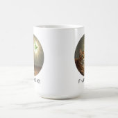 Funny Tabby Katze Catnip Es musste sein Sie Romanc Kaffeetasse (Mittel)