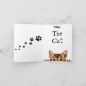 Funny Tabby Tiger Cat Faltkarte Karte (Innenseite)
