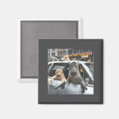 Funny Tactical Cat Meme Military Style  Magnet (Vorderseite/Rückseite)