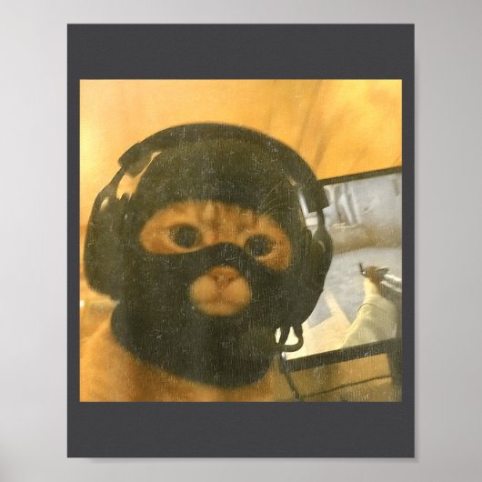 Funny Tactical Gamer Cat Meme Graphic Poster (Vorne)