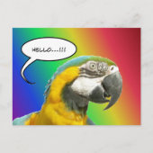 Funny Talk Parrot Rainbow Hallo Postcard Postkarte (Vorderseite)