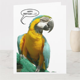 Funny Talking Papagei Geburtstag Große Grußkarte Karte