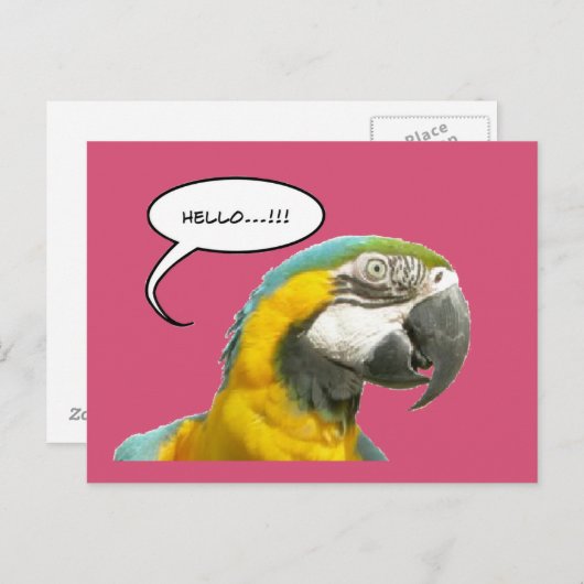 Funny Talking Parrot Hallo Postcard Postkarte (Vorne/Hinten)