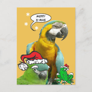 Funny Talking Parrot Merry X-Mas Postcard Postkarte