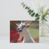 Funny Tallking Goat Fotograf Postkarte (Stehend Vorderseite)