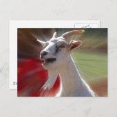 Funny Tallking Goat Fotograf Postkarte (Vorne/Hinten)