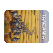 Funny Tansania Serengeti Nationalpark Zebra Magnet (Horizontal)