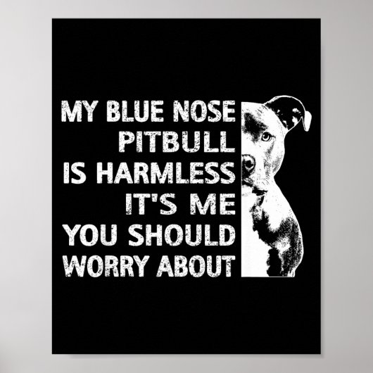 Funny Tbull Quote Blue Nose Tbull Design Cool Dog  Poster (Vorne)