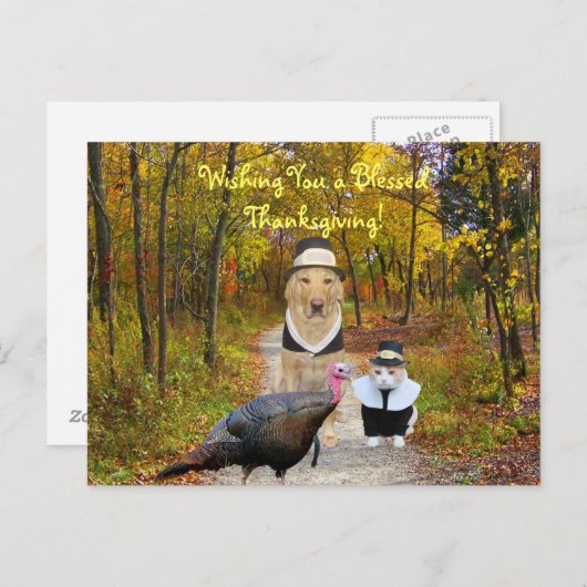 Funny Thanksgiving Postcard Feiertagspostkarte (Vorne/Hinten)