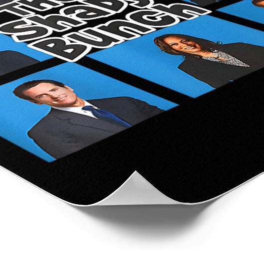 Funny The Shady Bunch 2024 Poster (Ecke)