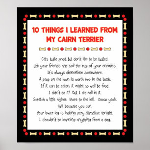 Funny Things I Learned From My Cairn Terrier Poster