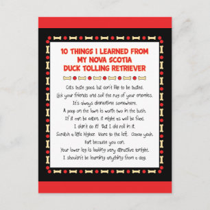 Funny Things von Nova Scotia Duck Toller gelernt Postkarte