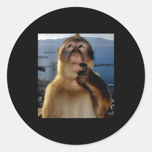 Funny Thinking Monkey Meme Curious Ape Brainrot Gi Runder Aufkleber (Vorderseite)
