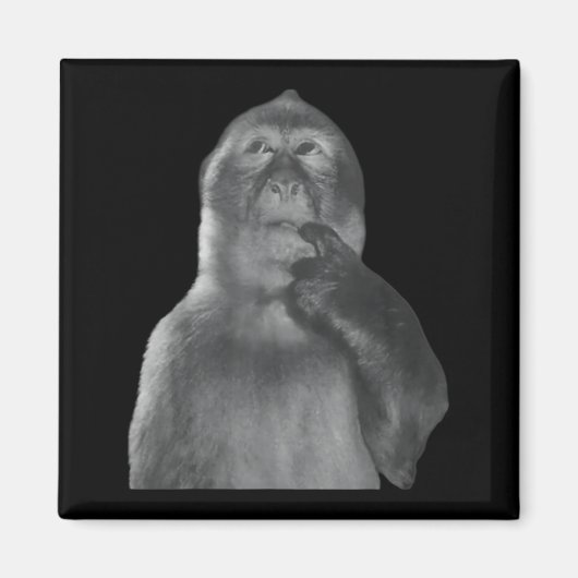 Funny Thinking Monkey Meme Curious Ape Brainrot Magnet (Vorne)