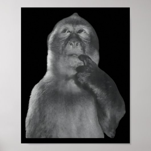 Funny Thinking Monkey Meme Curious Ape Brainrot Poster (Vorne)