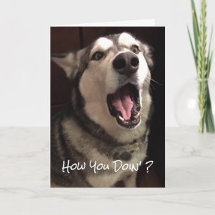 Funny Thinking you Alaskan Malamute Dog Foto Karte