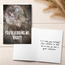 Funny Tilted Head Hähnchen Nah-Up Foto