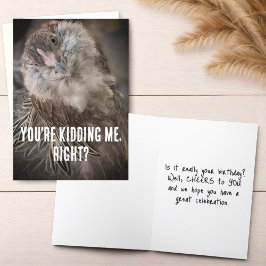 Funny Tilted Head Hähnchen Nah-Up Foto Karte