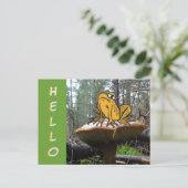 Funny Toad Cartoon auf Toadstool HELLO Postcard Postkarte (Stehend Vorderseite)