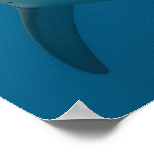 Funny Toothless Great White Shark Wall Art Poster (Ecke)