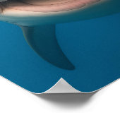 Funny Toothless Great White Shark Wall Art Poster (Ecke)