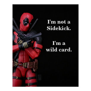 Funny Toy Fotografy Anti-Hero Poster