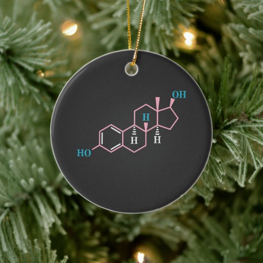 Funny Transgender Trans LGBT Privileg Rechte Estro Keramik Ornament (Baum)