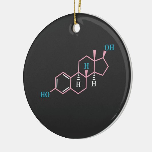 Funny Transgender Trans LGBT Privileg Rechte Estro Keramik Ornament (Links)