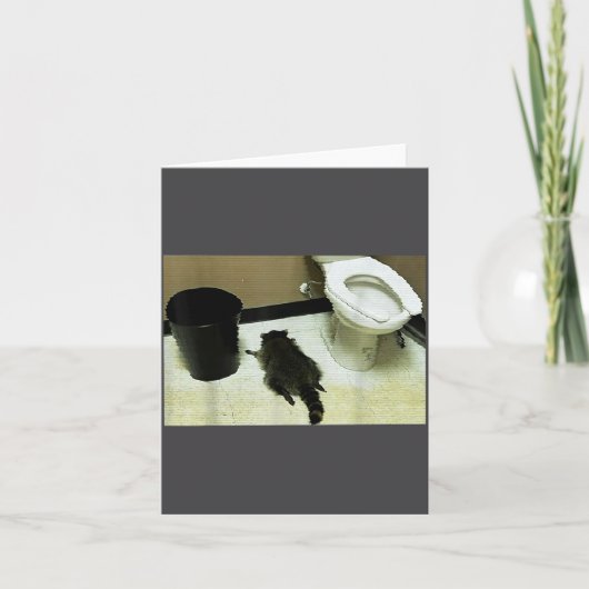 Funny Trashed Panda Drunk Racoon  Karte (Vorderseite)