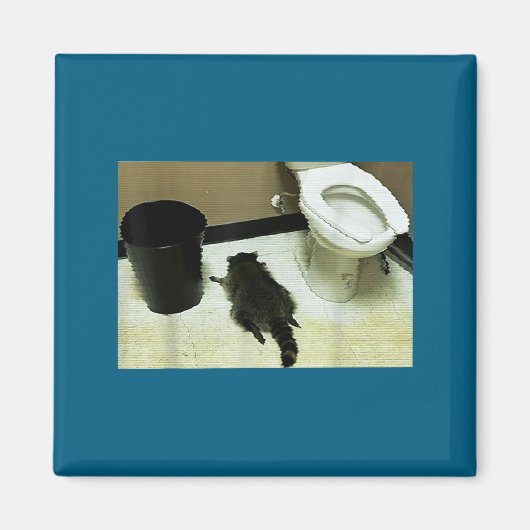 Funny Trashed Panda Drunk Racoon Magnet (Vorne)