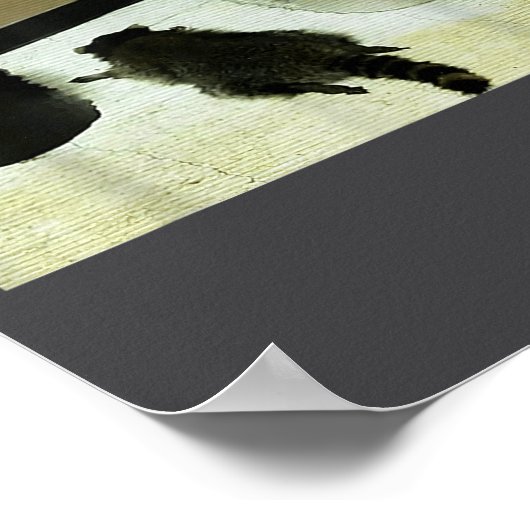 Funny Trashed Panda Drunk Racoon  Poster (Ecke)