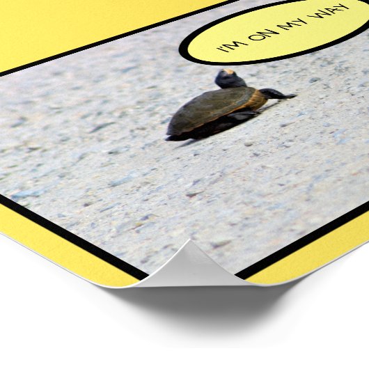 Funny Turtle Foto Poster (Ecke)