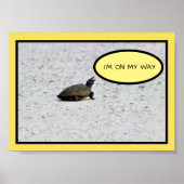 Funny Turtle Foto Poster (Vorne)
